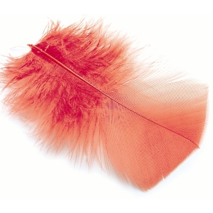Veniard Ibis Substitute Feathers - Wet Trout Fly Tying