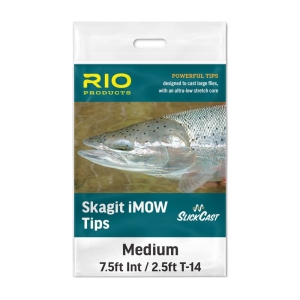 RIO SlickCast Skagit IMOW Tips - Salmon Fishing Tips