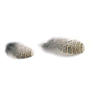 Veniard Woodcock Hackles Feathers - Trout Fly Tying