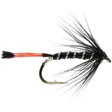 Caledonia Fly Black Pennell - Trout Wet Flies