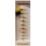 Daiwa Fly Pack - Hothead Nymphs Flies - Trout Selection Packs