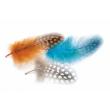 Veniard Guinea Fowl Plumage Feathers - Salmon Wet Trout Fly Tying