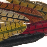 Veniard Pheasant Cock Centre Tail Feathers Mixed - Trout Fly Tying