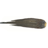 Veniard Pheasant Cock Complete Tails Feathers - Trout Fly Tying