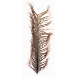 Veniard Pheasant Cock Knotted Tail Feathers - Trout Fly Tying