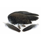 Veniard Grouse Whole Wings Feathers - Wet Trout Fly Tying