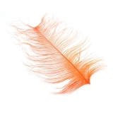 Franc N Snaelda Rhea Centre Section Feathers - Fly Tying Materials