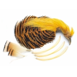 Veniard Golden Pheasant Complete Head - Crest Tippet Salmon Fly Tying