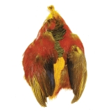 Veniard Golden Pheasant Body Skin - Salmon Trout Fly Tying Flies