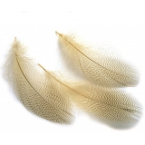 Veniard Mallard Duck Grey Flank Feathers - Fly Tying Materials