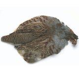 Metz Hungarian Partridge Complete Skin Feathers - Fly Tying Materials
