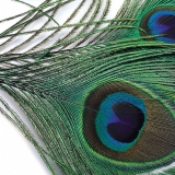 Veniard Peacock Eye Tops Feathers - Trout Salmon Fly Tying
