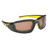 Shimano Beastmaster Sunglasses - Polarised Sunglasses for Fishing