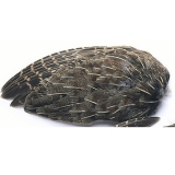 Veniard English Partridge Whole Wings - Fly Tying Feathers