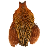 Whiting Farms 4B Hen Neck Capes - Fly Tying Feathers Materials