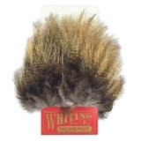 Whiting Farms Coq De Leon Tailing Packs - Feather Fly Tying Materials