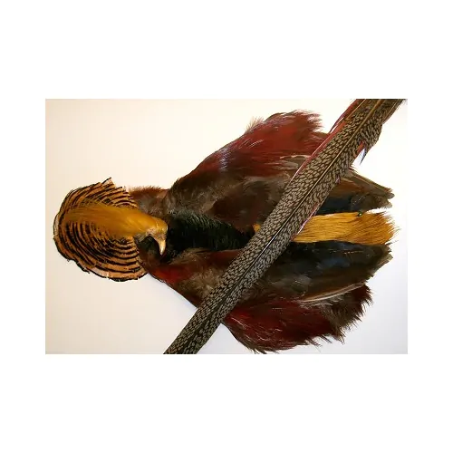 Turrall Fly Tying Material Golden Pheasant Body and Head Feathers Complete 