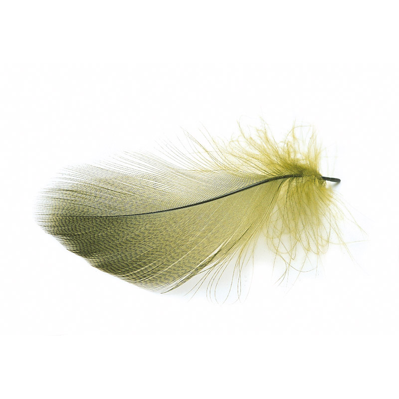 MALLARD DUCK PRIME DRAKE 4 STRIPED NON-MATCHING FLANK PLUCKS A+FLY TYING FEATHER 