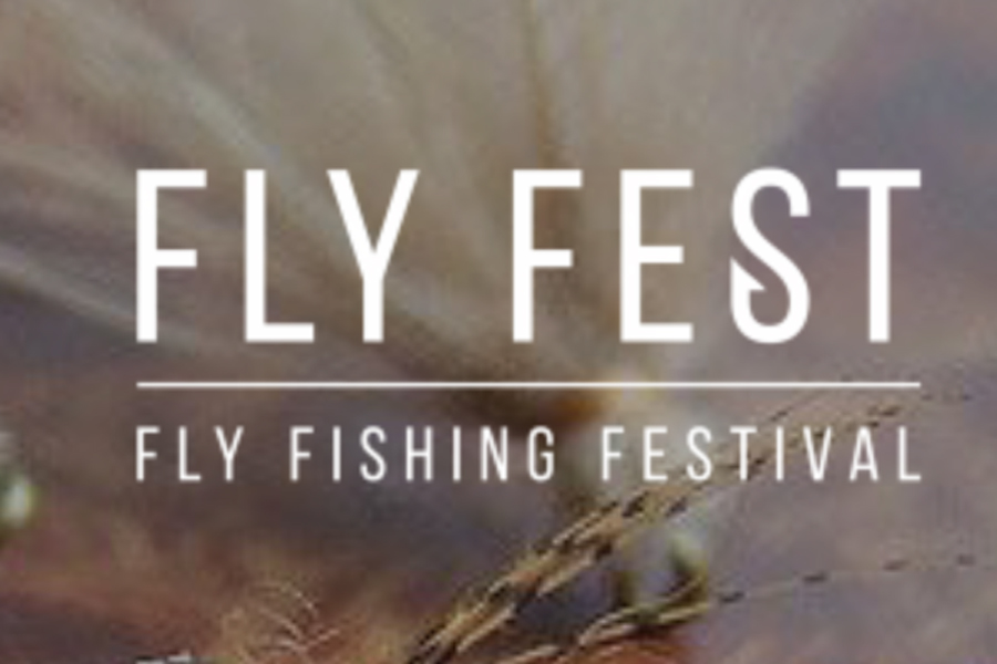 Fly Fest 2016 Video