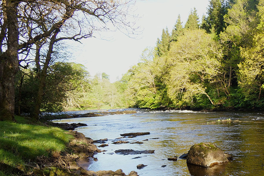 River Teith - Lanrick Salmon Fishing