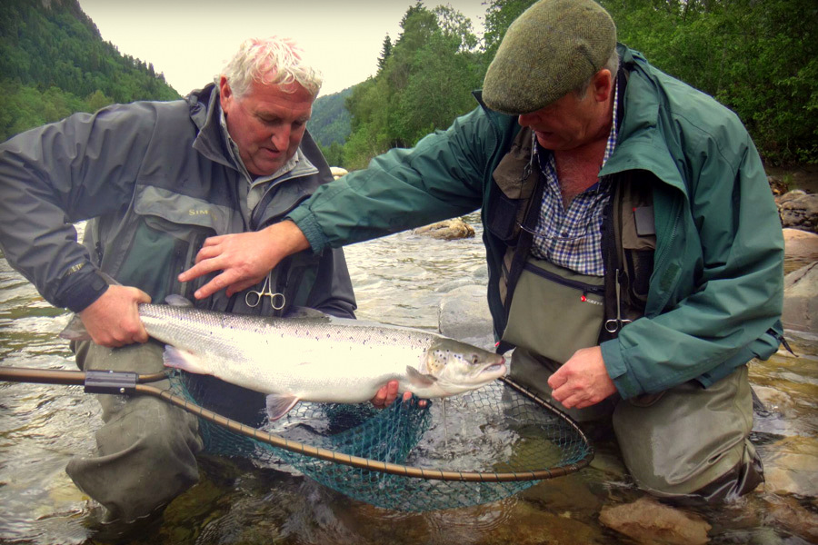 Best leader for salmon fishing on the River Tay