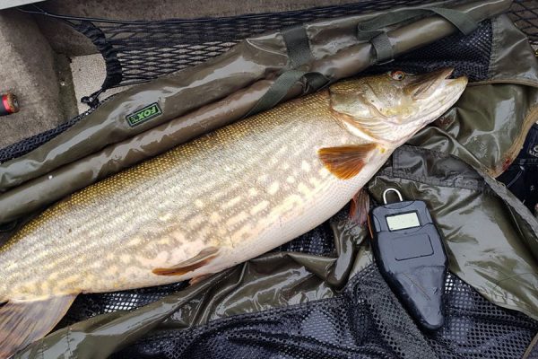 Bait Fishing For Pike - A Buyer's Guide