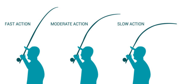 Fly Fishing Rod Actions Explained 
