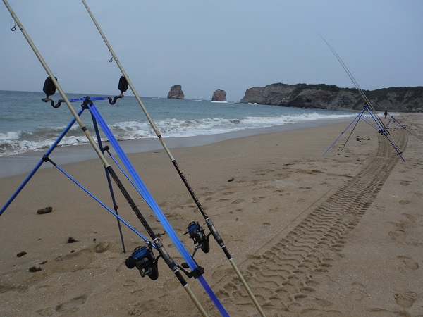 Learning About Leaders, Knots, Breaking Strains and Why You Should Use Them  - SeaAngler