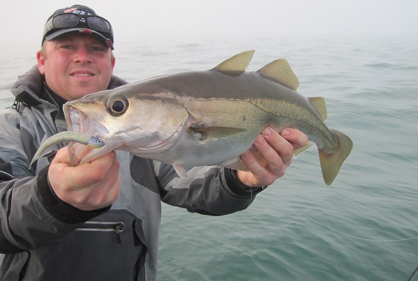 Lures & Plugs Useful Tips & Tricks for Bass Bream Mackerel Pollock Fishing  
