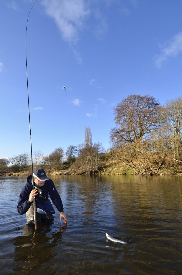 grayling fishing Scotland