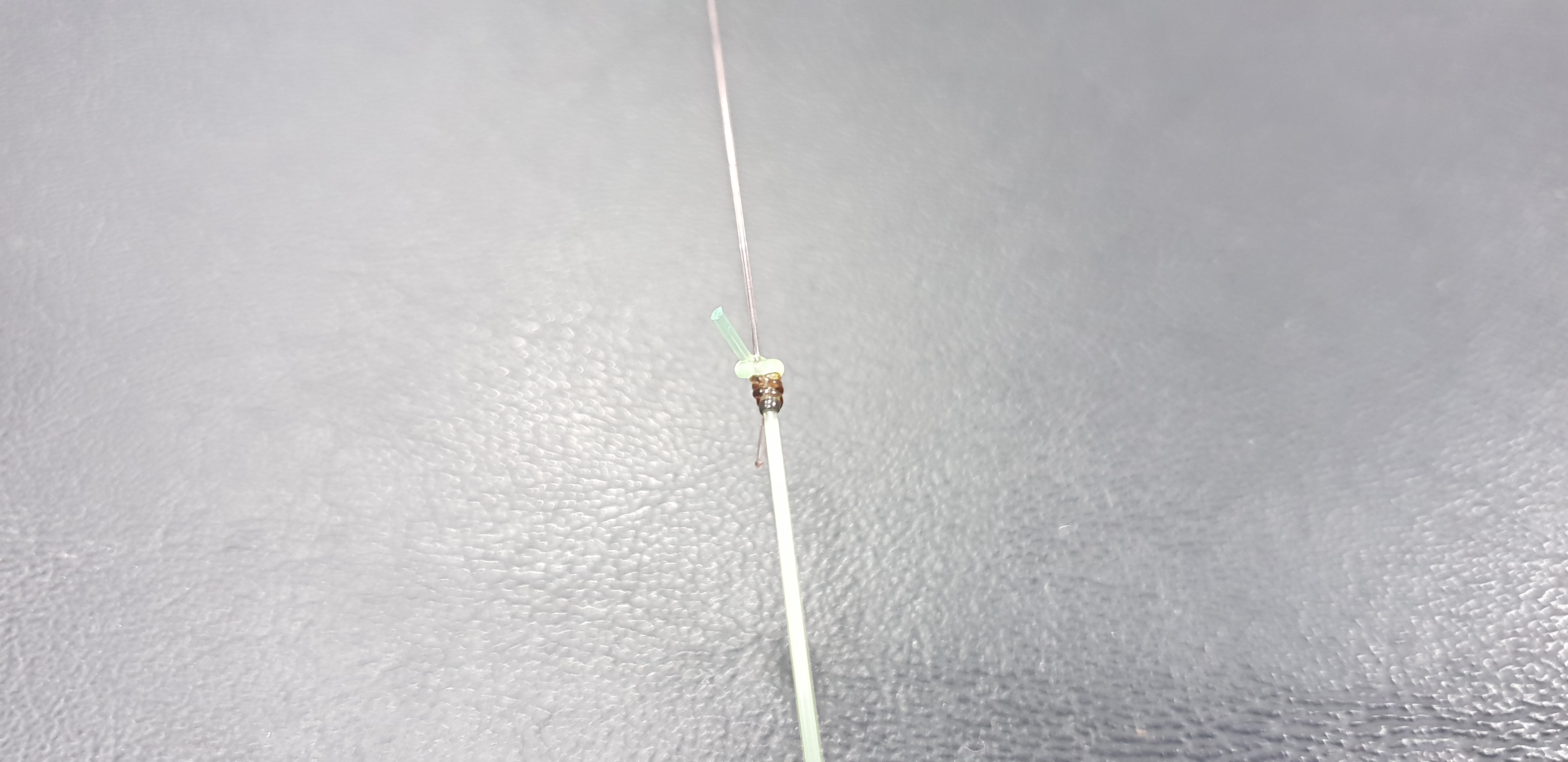 The Best Shock Leader Knot for Sea Fishing