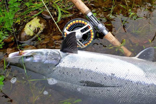 Salmon Fly Lines Explained