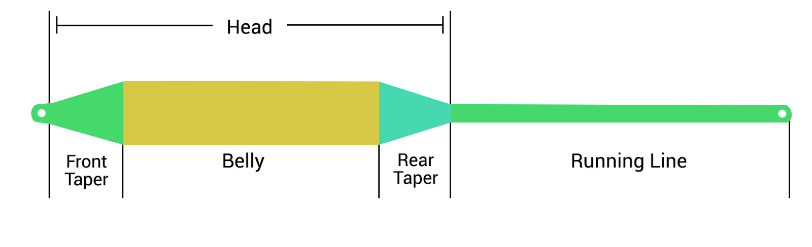 fly line taper diagram