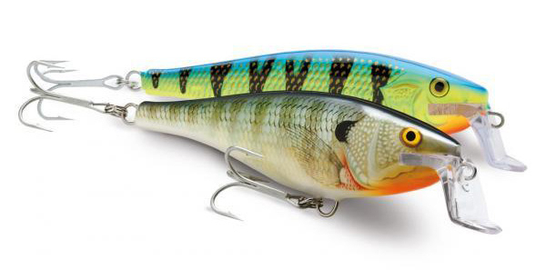 Best Spinning Lures for Trout? - 2024