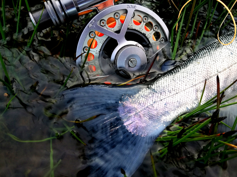 8 Things To Consider When Choosing A Fly Reel