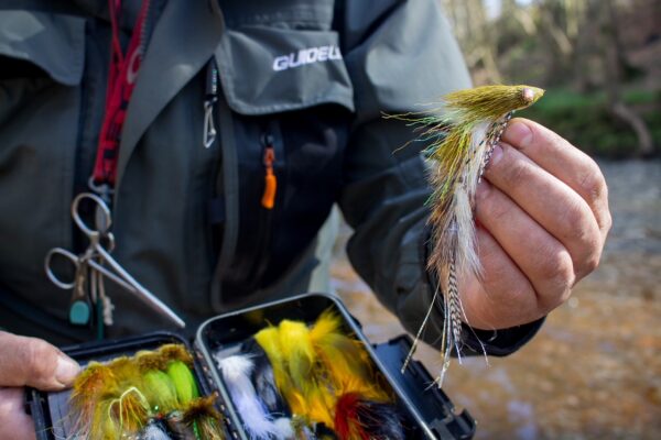 Trout Streamers