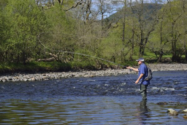 Casting a fly rod on a small river