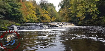 West Lothian Angling Association - River Almond